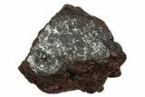 Polished Stony-Iron Mesosiderite Meteorite ( g) - Chile #242902-1